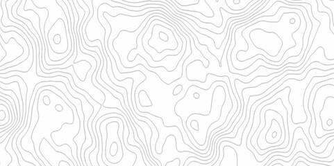White topography topology vector white background fresh contour map texture. white seamless pattern Abstract background with a wave Topography and geography map grid abstract backdrop.