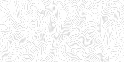 White topography topology vector white background fresh contour map texture. white seamless pattern Abstract background with a wave Topography and geography map grid abstract backdrop.