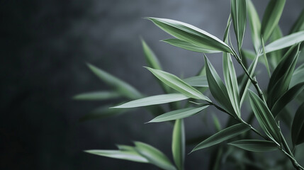 Green Background with Bamboo Leaves -  Perfect for Spa, Wellness, and Nature-Inspired Designs