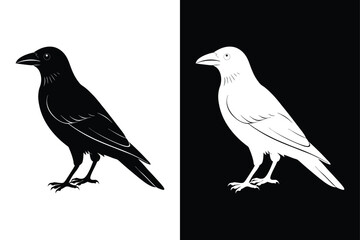 Dark and Elegant Crow Bird Icon Black and White Vector.