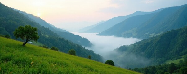 Fototapeta premium Tranquil atmosphere with mist rising from the valley floor, valley, floor