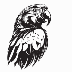 Parrot with funny face surprising with open mouth image vector  isolated on a white background