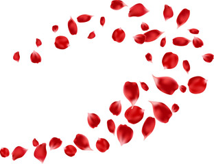 Flying red rose petals isolated floating. organic product background