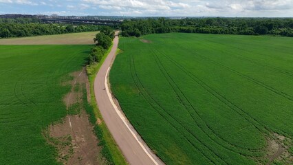 Obraz premium Person riding bike down quiet road in landscape with green field and trees in Memphis, Tennessee