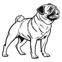 set of dogs and pug with bow tie vector illustration of cartoon dog