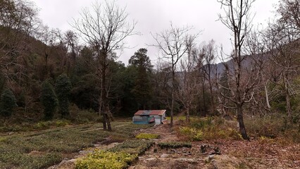 Small temporary house in farm agricultural farm