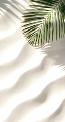 Palm tree tropical  leaf on white beach sand with empty space for text message.