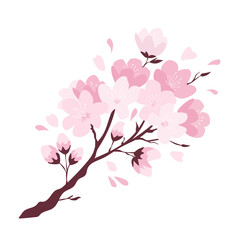 Vector illustration of a blooming cherry blossom branch with pink flowers and falling petals on a white background. Tradition of admiring cherry blossoms Hanami.