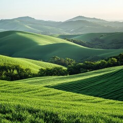 Fototapeta premium Lush Green Fields with Rolling Hills in Scenic Landscape