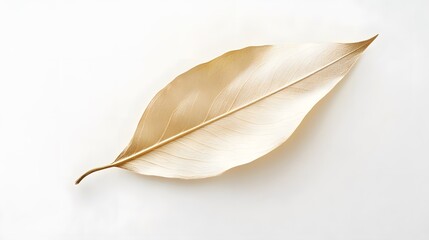 A single golden leaf, delicate and crisp, on a clean white background, transparent isolate