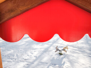 Bright red canopy contrasts with a snowy background in aosta, italy, capturing the essence of a crisp november day Frazionne Lillaz