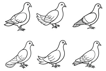 white dove vector line art design