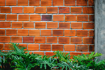 Red brick wall with green foliage at the base