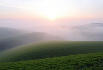 Fototapeta premium Field with fog and agriculture and sunset