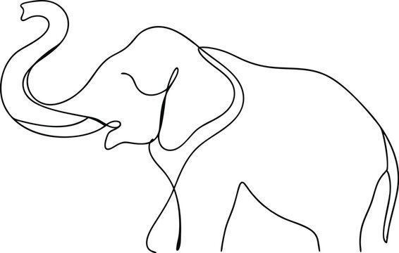 Hand drowing elephant vector illustration
