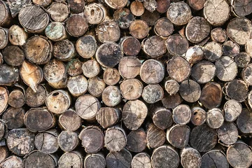 Fototapeten Stacked wooden logs with natural patterns and textures © VERSUSstudio
