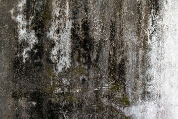 Grungy weathered concrete wall with dark mold and textured surfaces