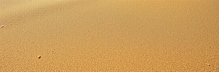 Fototapeta premium Pristine sandy beach with small ripples and patterns, background, texture