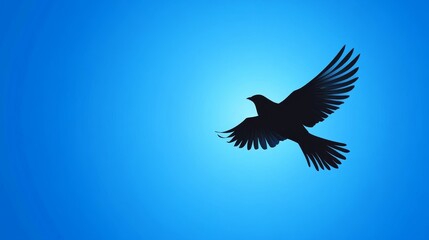Fototapeta premium Silhouette of a Bird in Flight Against Blue Sky - This image features a black bird silhouette soaring gracefully against a vibrant blue background.