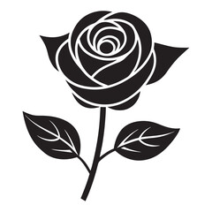 black and white rose