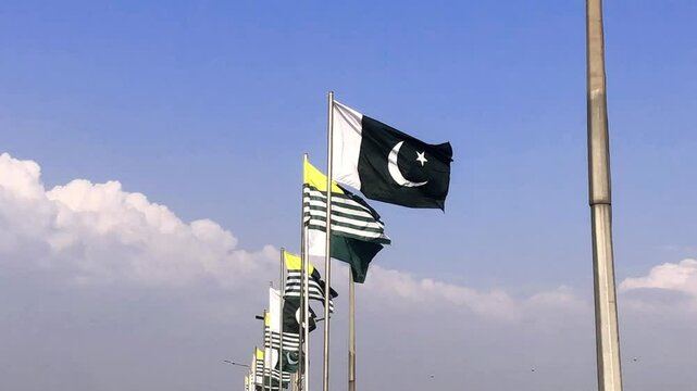Pakistani flag waving video, flag in a pole, memorial day, freedom of speech, horizontal flag, rectangular, national, raise a flag, emblem, seamless loop, memorial day, victory day, 14 August 