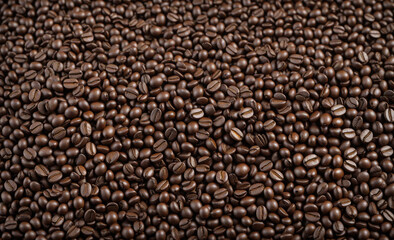 coffee beans background