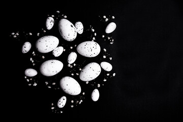 Minimalistic composition with white spotted eggs and delicate gypsophila flowers on a black...