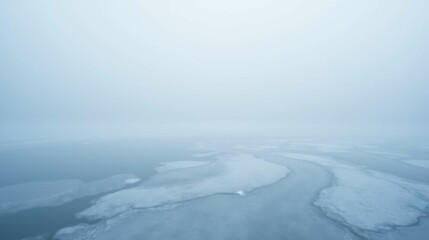 Obraz premium Serene Misty Landscape with Frozen Water and Soft Gray Tones