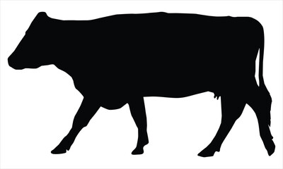 silhouette of a cow