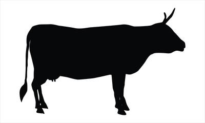 cow silhouette isolated on white background