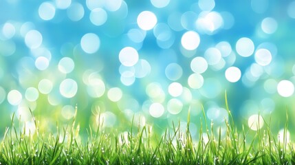 Obraz premium Lush Green Grass, Vibrant Blue Sky, and Sparkling Sunlight A Serene Spring Landscape