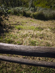 Aged wooden fence bordering grassy meadow near aosta, capturing rustic italian countryside with autumn's muted golden hues  targnod