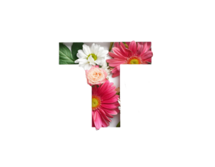 T lettering with flowers, isolated on white background, cut out