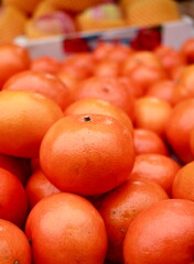 Mandarin orange picture set