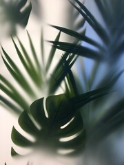 Frosted glass plants. Tropical palm leaves behind frosted glass.