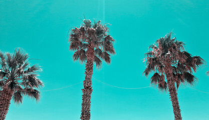 Two tall palm trees against a bright green sky