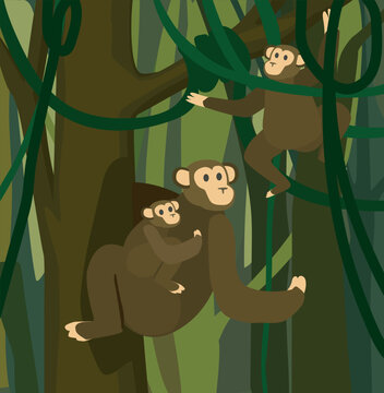 chimpanzee mother with baby lil monkey  on stomach family cute flat vector cartoon character in jungle  in natural habitat background