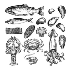 Seafood set, trout, mackerel and squid, crayfish, crabs and shrimps, mussels and marine elements. Vector graphic illustrations made by hand. Black and white images in the form of clip-arts. Isolates.