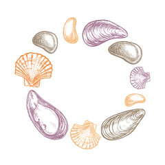 A round composition of shells and pebbles. Hand-drawn vector illustration. A color image of marine objects in a frame. Separate from the background. Perfect for packaging, labels and more.