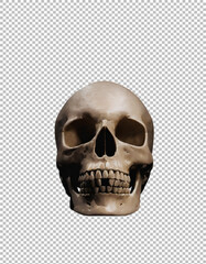 Fototapeta premium dark Abstract Human Skull Sculpture on transparent background, png, psd 
