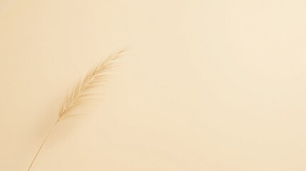 A single, delicate beige plant stem with soft, feathery leaves against a pale, creamy background provides a minimalist and serene aesthetic.