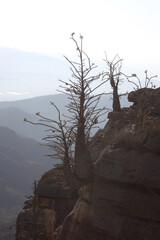Panorámica de los cerros con filtro azul