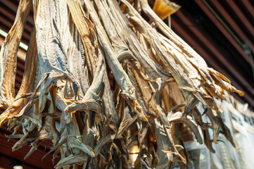 Food market in the port of Bergen, Norway
