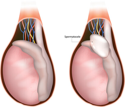 Onlayn qoshni it uslubida onanizm qiladi.