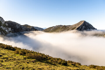 Misty Mountain Valley