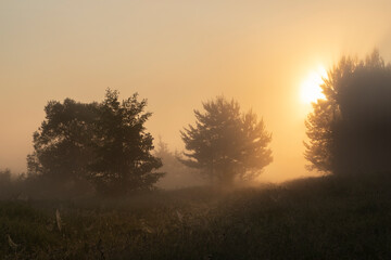 Beautiful summer landscape with the fog lit with a sunrise