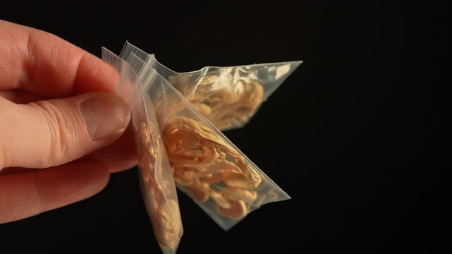 Hand of the drug dealer show off and lure with Magic mushrooms in small plastic bag for sale in clubs, parties and street. Illegal Psychedelics shrooms drugs trafficking. Psychoactive psilocybin.