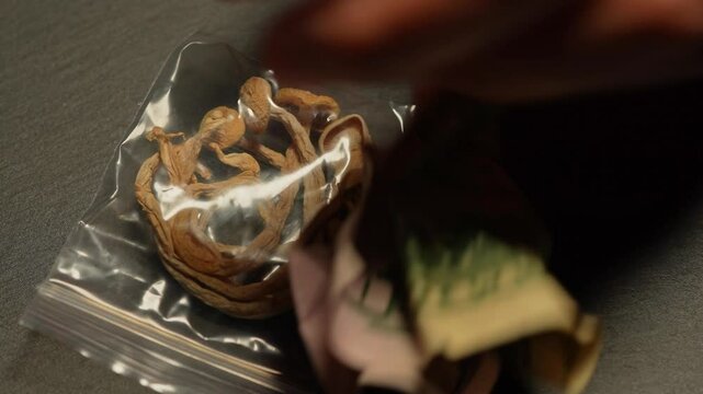 Person drop crumpled US dollars bill and take Magic mushrooms in small bag from dealer table. Depiction of illegal narcotic trade or sale. Dark market illegal transactions and finance