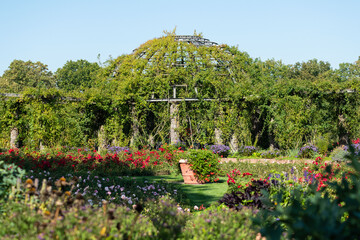 english garden with flowers and plants