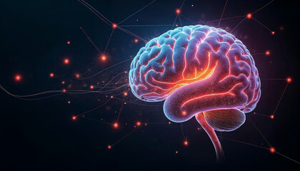 3D rendered illustration of the intricate anatomy of the human brain